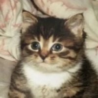 Somebody 🔞 (@sumbodysumn) 's Twitter Profile Photo