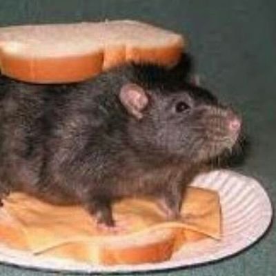 jamiecaralho's profile picture. ele/dele • 25y • desativei minha conta antiga e me arrependo • bmi 23 • gw 50 • cw 70 • h 171 •