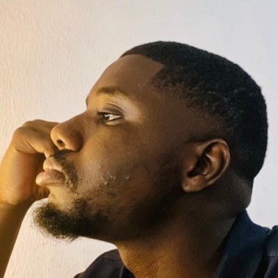 FranklinPelumi's profile picture. Artist & Architect. 📩franklinpelumi@gmail.com Currently illustrating for 👉@Scorpionmaiden