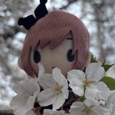 I am Enanan Nui, a mini-sized, marketable version of Ena Shinonome. I draw sometimes with my small pencils.