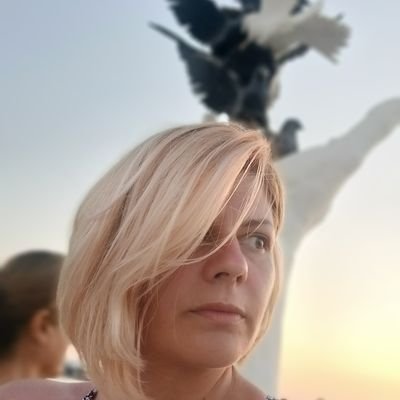 DavidovicTamara's profile picture. 