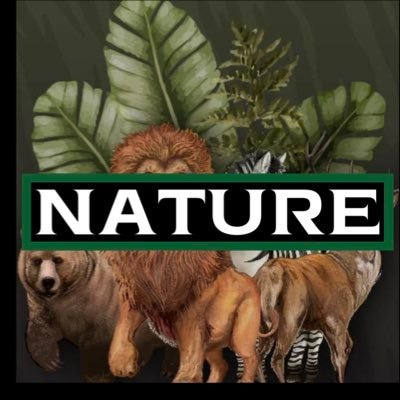 NATURE Profile