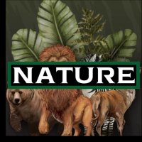 World of Nature (@wrldofnature) 's Twitter Profile Photo World of Nature (@wrldofnature) 's Twitter Profile Photo