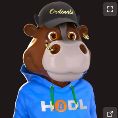 SteveBass408's profile picture. “just a lil fish swimmin big water”