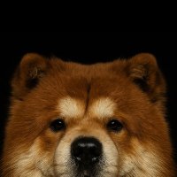 🍀 ☘︎︎𝐢𝐚𝐦𝐜𝐚𝐩𝐩𝐮𝐜𝐜𝐢𝐧𝟎☘ 💵💲💰 (@iamcappuccin0) 's Twitter Profile Photo 🍀 ☘︎︎𝐢𝐚𝐦𝐜𝐚𝐩𝐩𝐮𝐜𝐜𝐢𝐧𝟎☘ 💵💲💰 (@iamcappuccin0) 's Twitter Profile Photo