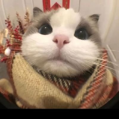 thth12392211's profile picture. 