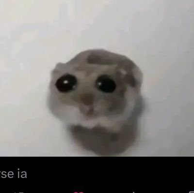 Ari_2105's profile picture. 