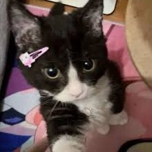 bugercekmiiiii's profile picture. baba siz ot mu cekiyonuz doğruyu soyleyin bak