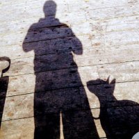 N00800dy (@n00800dy) 's Twitter Profile