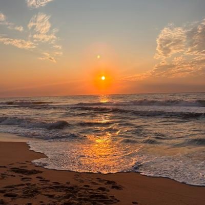 kamVJN's profile picture. Life's a beach...