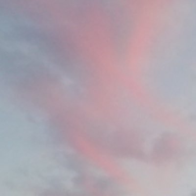 kaseisayo's profile picture. インターネットで採取できる死の残滓です 化けて生きることも、小さいことも、人であることも、ノートの落がきも、良いことだと思っています 美しいものと考えることが好きです 強くないので 優しくしてね