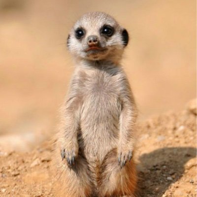 hyuck_study's profile picture. 혁이 비밀 공간😋 (주인님이랑 함께 운영)