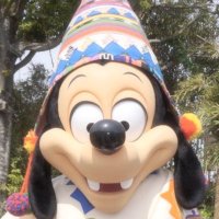 モイっ (@moim4x_) 's Twitter Profile