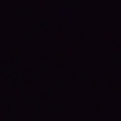 応援は初年度から