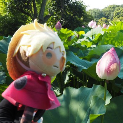 雑食星人(成人)/tri銃が大好き/てるヴァ好きのぶん学者 xAIのGrok3に質問して花を育ててます/昆虫写真もPOSTします