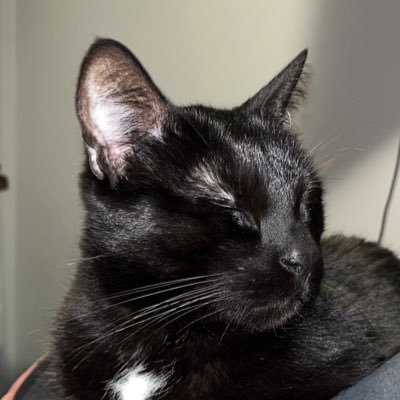 aaanto_h's profile picture. 