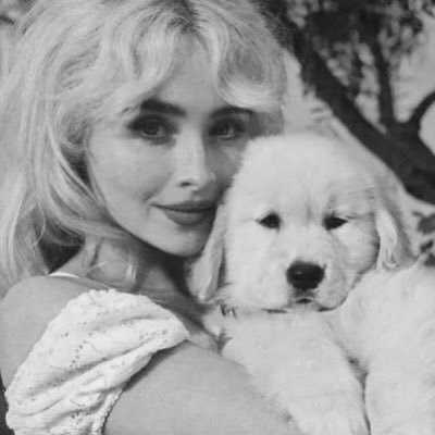 enjoybeeduo's profile picture. that one bitch who doesn’t play about mclaren