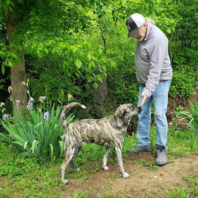 JerryMurph44784's profile picture. 