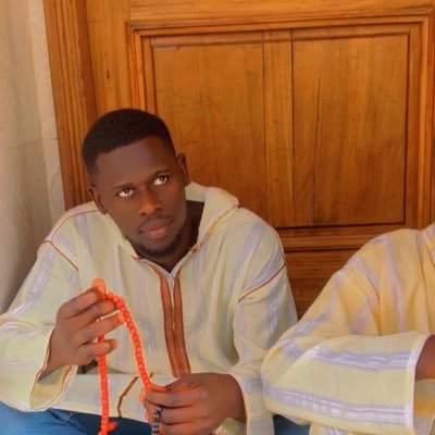 Ibnkadiallo, Youth leader, IT Technician,