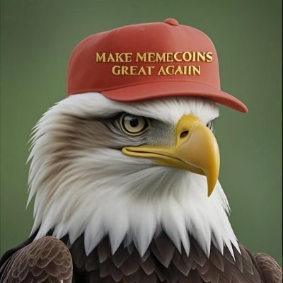 SQZX168's profile picture. Hawk soars in the sky, yearning for freedom! The Hawk token symbolizes freedom and echoes the freedom of speech advocated by Elon Musk!