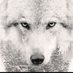Alpha BBC God Daniel (@alphadanzy1) Twitter profile photo Alpha BBC God Daniel (@alphadanzy1) Twitter profile photo