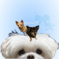 YaKa (@thinkaboout_172) 's Twitter Profile