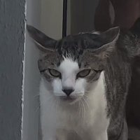 Guys… (@imshittingmyslf) 's Twitter Profile