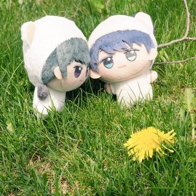 塩麹さんのプロフィール画像