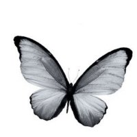 ๋๋น. (@mytismy) 's Twitter Profile