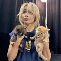 sash (@unsabscr1be) 's Twitter Profile