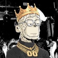 Solzy (@solzyonsol) 's Twitter Profile Photo Solzy (@solzyonsol) 's Twitter Profile Photo
