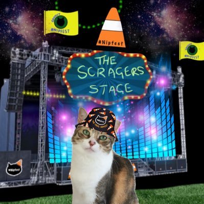 I'm Skittles (F) I'm the CEO of the Team there are 8 Rescue Cats, multiple Community Cats & the Big Guy we are members of #TheAviators #HedgeWatch #mogwarts