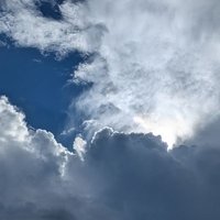 Hiro𓅪 (@hiro_mud) 's Twitter Profile