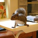 Jim Randolph - @JimDRandolph - Twitter