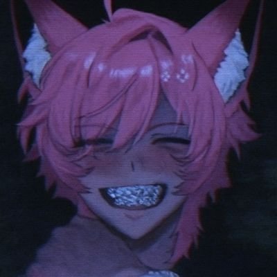 El Gato Kuro 黒さんのプロフィール画像