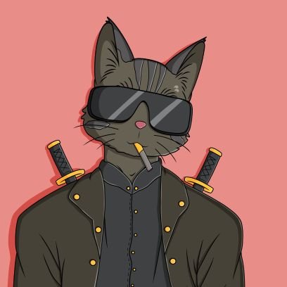 Catz ⨀ Profile
