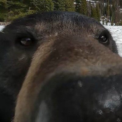 IN_GWON_JUSEYO_'s profile picture. 안녕
나는 씹덕세끼 이다
니꼬추굵다