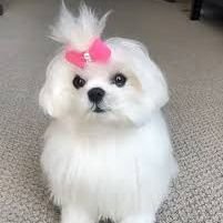 自然の景色、その他、好きなものをゆっくり投稿し ていきます 🍀☺️統一感無しの初心者🔰ですが宜し くお願いします🌻