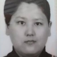 노수현명언봇 (@nogainsaranghae) 's Twitter Profile Photo