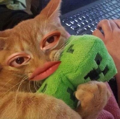 dahlahcapee__'s profile picture. Suka baca buku, tapi nggak jago review. Hobi ngintip rak buku orang.