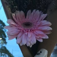 C (@callmecathiee) 's Twitter Profile