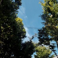 5lw (@5lwyf) 's Twitter Profile Photo 5lw (@5lwyf) 's Twitter Profile Photo