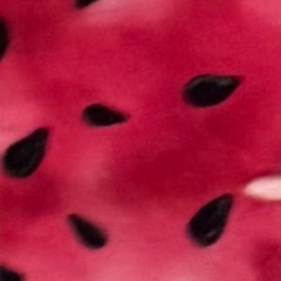 pollywogg9's profile picture. WE THE PEOPLE…