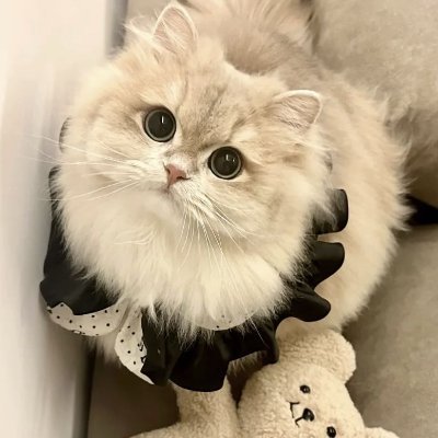 moonreet's profile picture. コーヒー☕と読書📖、そして旅先での静かな時間が好きです