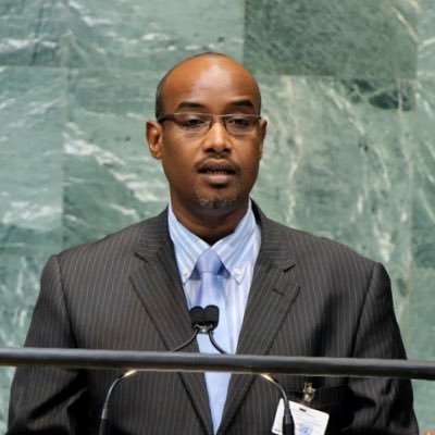 H. E. Amb. Ali Yakoub Mahamoud, Permanent Representative of the African Union to the E.U and the OACPS in Brussels. former Minister of Health, energy & mining.