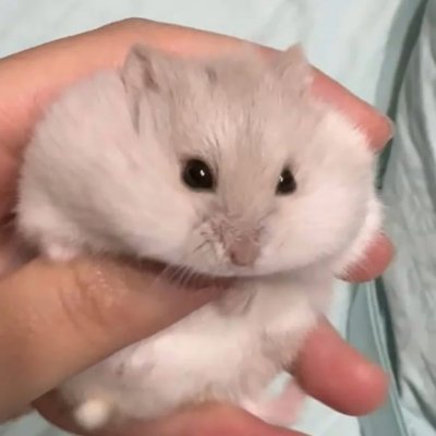 .さんのプロフィール画像