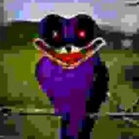 Kandyz1234 (@liamplayz2win) 's Twitter Profile