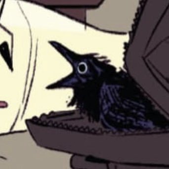 Bleb Profile