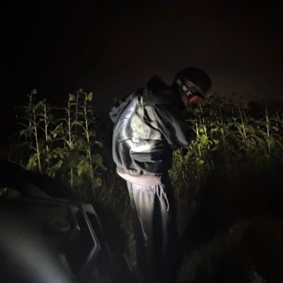 PinkEyes2k's profile picture. Goal 300