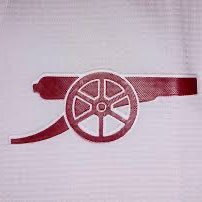 FitzAFC's profile picture. Rodney Miller, 26, Arsenal FC fan living in Scotland.